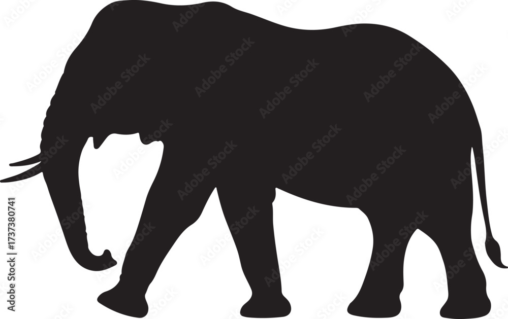 Obraz premium Elephant silhouette, Asian elephant, African elephant in silhouette