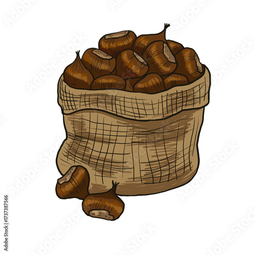Chestnuts in a canvas bag
