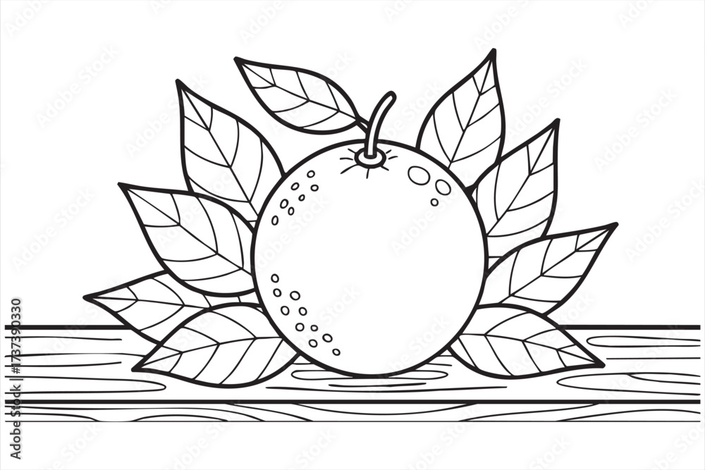 Fototapeta premium Citrus Fruit Line Art Design for Agriculture, Orchard, and Nature Projects