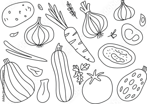 Hand Drawn Outline Vegetables and Herbs Collection potato onion