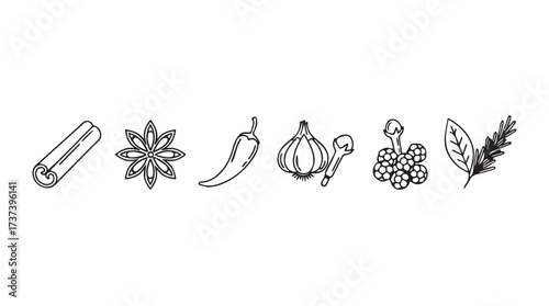 Hand drawn spices and herbs collection cinnamon star anise chili garlic cloves basil rosemary for cooking vector