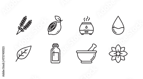 Hand drawn icons representing natural skincare ingredients and wellness tools vector