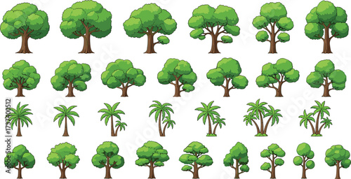 Cartoon tree grid with diverse foliage styles, broadleaf and palm varieties, nature icons, landscape design, educational, environmental illustration