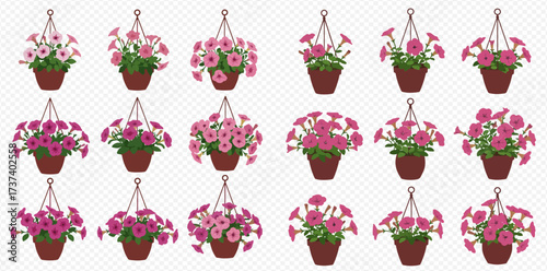 A collection of eighteen hanging baskets with vibrant pink and magenta petunia flowers on a transparent background.