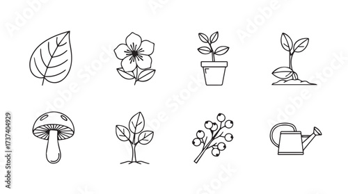 Set of hand drawn botanical icons featuring plants flowers mushroom and watering can elements vector