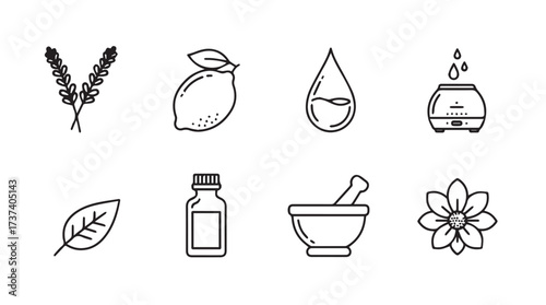 Set of eight organic cosmetic and wellness icons for natural beauty and aromatherapy vector