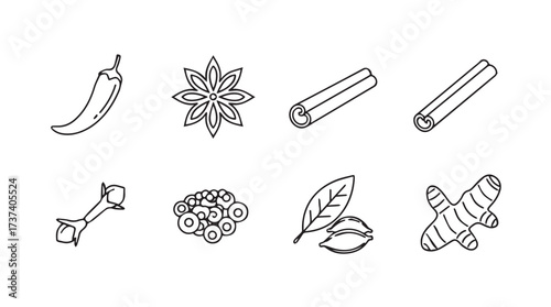 Hand drawn spice collection featuring chili star anise cinnamon sticks ginger and cardamom vector