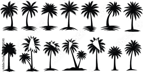 Palm Tree Silhouette Vector Set Featuring Diverse Tropical Shapes for Nature, Landscape, Botanical, Travel, and Design Illustration Use