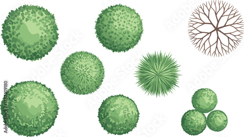 Top-down tree and shrub grid with varied foliage textures, radial branching, and spherical forms for landscape design and planning