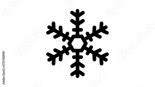 snowflake minimalist stroke animation