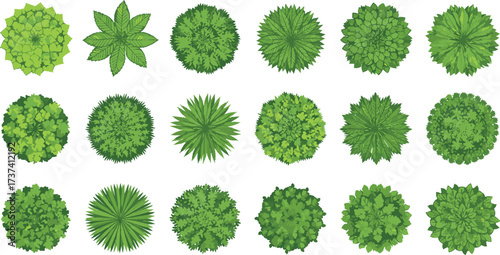Top-down tree and shrub canopy vector set with diverse foliage textures, botanical shapes, landscape design elements, and nature illustration styles