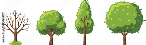 Tree Vector Set Featuring Seasonal and Morphological Diversity with Bare, Rounded, Conical, and Dense Canopy Designs for Educational Use