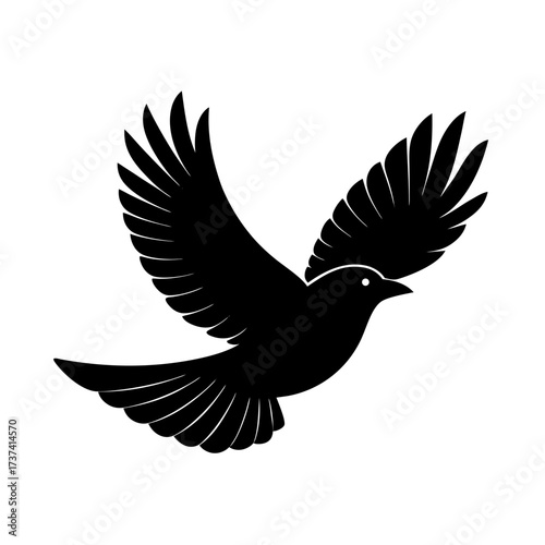 Bird Descending – Graceful Flight Toward Earth