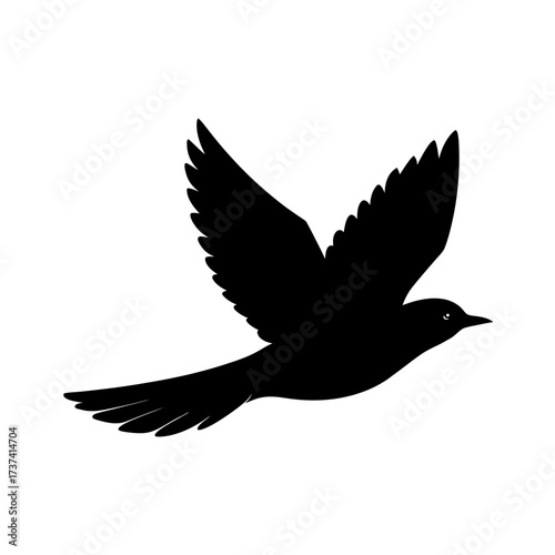 Bird Hovering – Suspended Motion in Nature