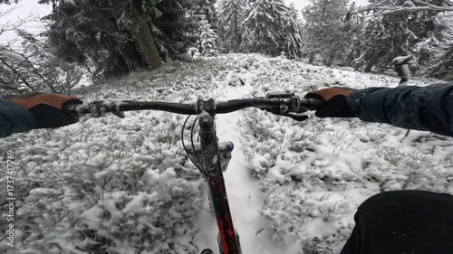  POV: Dynamic first-person view of riding through a winter forest, riding along a path between snow-covered mountain pines. 