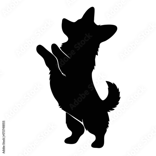Corgi dog standing pose happy silhouette illustration