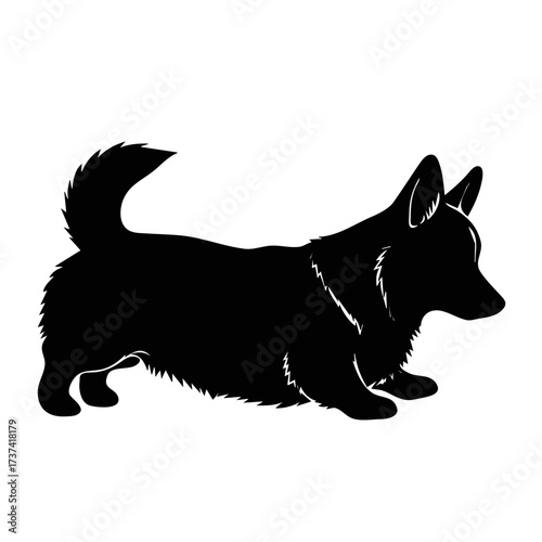 Corgi dog pose looking down silhouette illustration