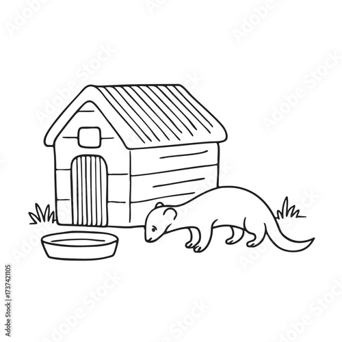 A weasel near a watering bowl placed beside a garden shed