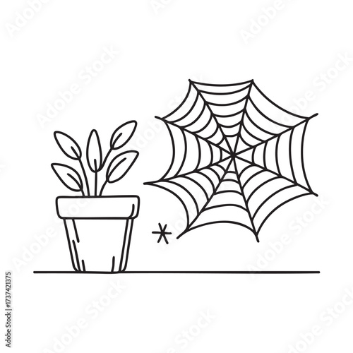 A web beside a flowerpot placed on the balcony