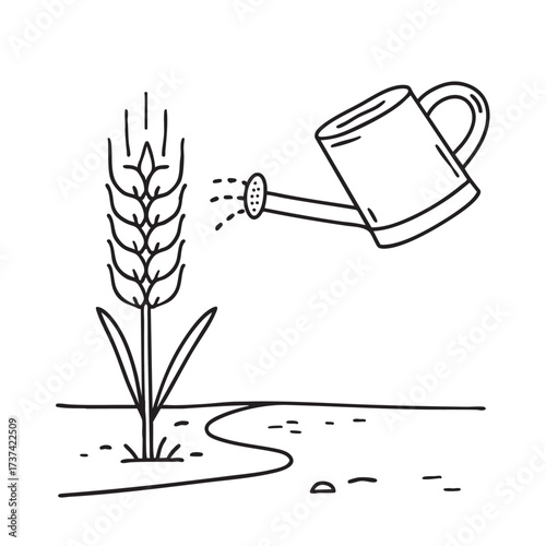 A wheat stalk near a watering can placed on a dirt path
