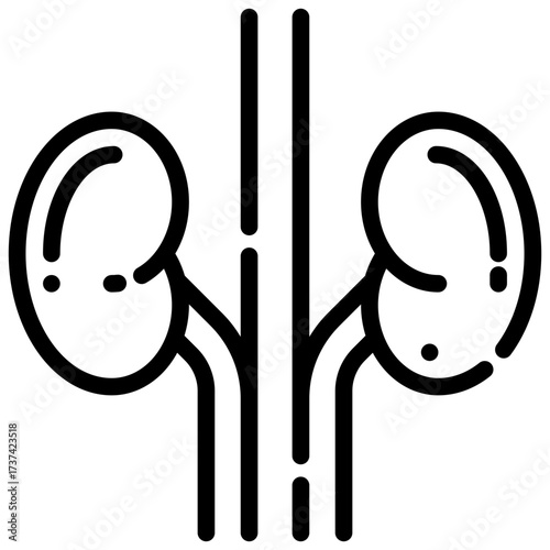 Kidneys outline icon black line drawing depicts human kidneys organs in a minimalist outline.