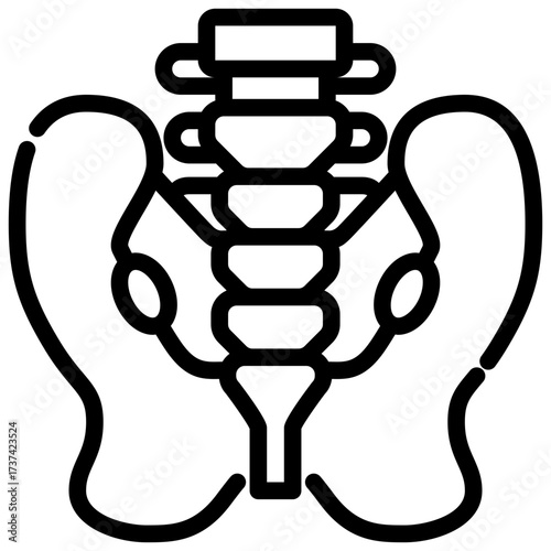 Pelvis outline icon displays a stylized black and white icon illustration of the human pelvis and spine.