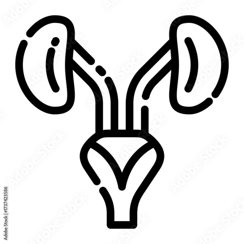 Kidneys outline icon provides a simplified black and white illustration of the human urinary system.