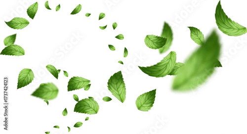 Vibrant green mint leaves swirling and falling dynamically on a pure white background. Focus on sharp detail and realistic motion blur 
