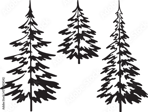 Christmas fir tree, contours. Christmas fir trees, symbolical pictogram, black contours isolated on white background.
