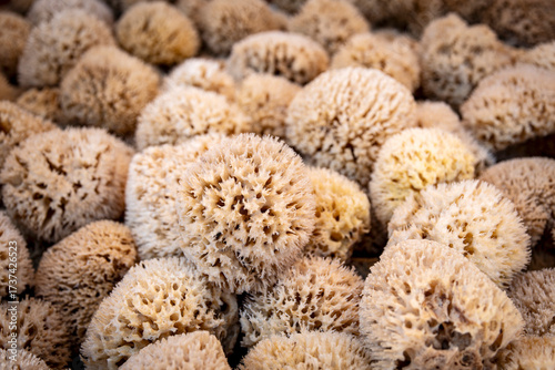 Natural sponges arranged on a light surface, with the focus on the sponge in the foreground highlighting its shape and porous texture.