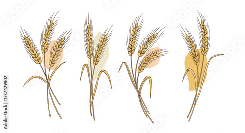 A collection of stylized wheat stalks with abstract organic shapes in warm tones.