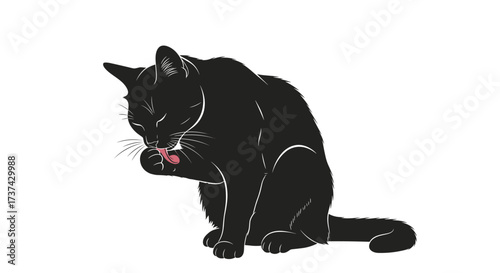 An elegant black cat is diligently grooming its paw with its tongue, showing its meticulous nature.
