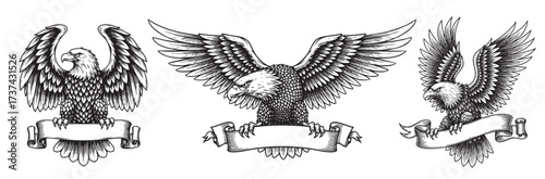 Bald Eagle with Banner Engraving Vintage American Patriotism Symbol with Detailed Wings and Scroll Ribbon