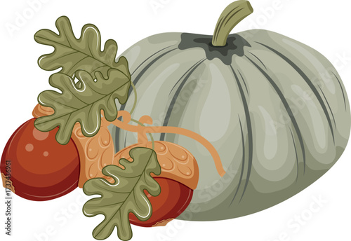 color icon with autumn harvest of green pumpkins and oak branches with ripe brown acorns, for autumn seasonal designs