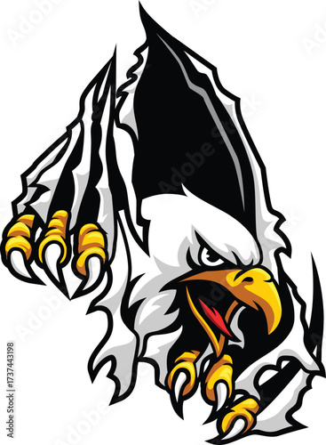 American Eagle attacked with his claws Illustration Design