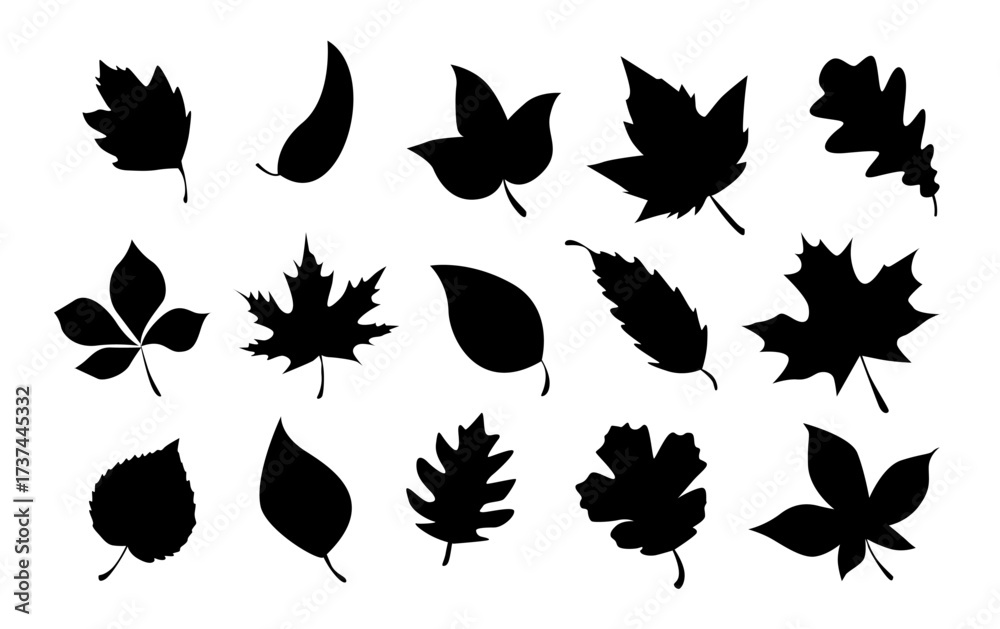 Fototapeta premium Set of black leaf icons in various shapes, simple silhouette design for nature and seasonal themes.