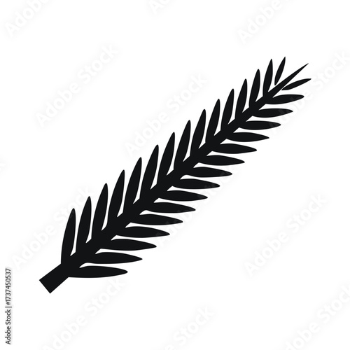Black Silhouette of a Fern Frond leaf plant