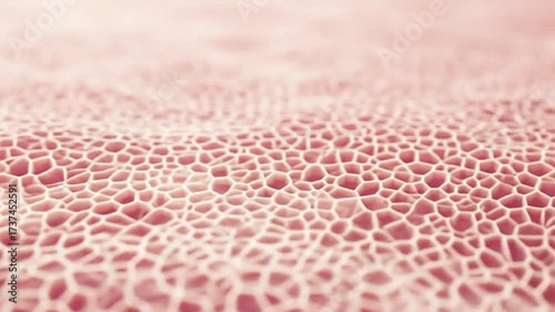 Microscopic view of a pink cellular texture, suggestive of skin or organic material.