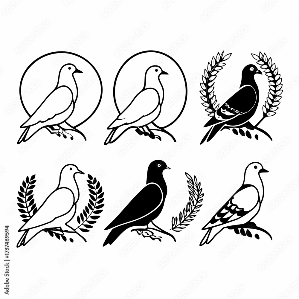 Obraz premium Collection of six pigeon illustrations in various poses vector art