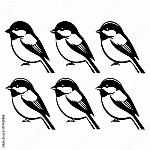 Six black capped chickadees perched in a group, , creating a charming avian scene