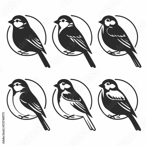 Six birds in circles in a pattern, a unique and eyecatching design