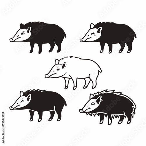 Set of five wild boar illustrations in black and white vector art design