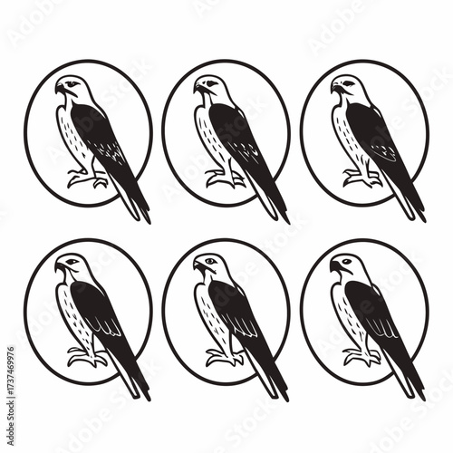 Collection of hawk vector illustrations, , showcasing various poses and styles of birds of prey