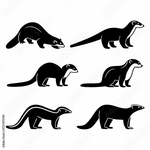 Set of six ferret silhouettes, showcasing various poses and coat patterns