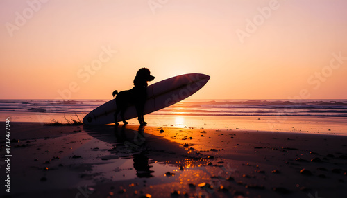 A Poodle silhouette stands next to a surfboard, reflected on the wet sand under a glowing orange and purple sunset.