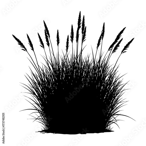 Silhouette of tall grasses and reeds swaying in the wind naturalistic botanical element silhouette flat design vector illustration white background