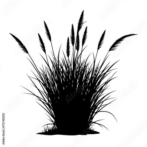 Black silhouette of tall grasses with plumes and delicate stems elegant nature element silhouette flat design vector illustration white background