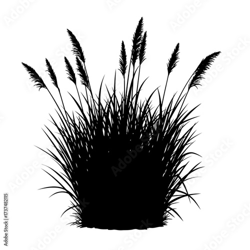 Silhouette of tall grass reeds with plumes evokes natural beauty and open fields silhouette flat design vector illustration white background