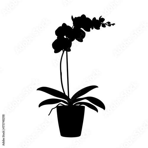 Elegant black silhouette of a potted orchid flower plant for artistic projects silhouette flat design vector illustration white background