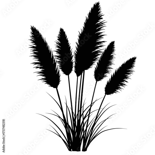 Silhouette of pampas grass plumes elegant botanical design for decorative use silhouette flat design vector illustration white background